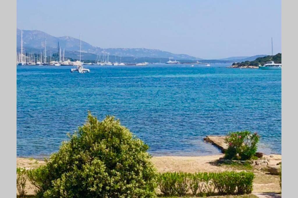 Villa Oleandri Porto Rotondo Eksteriør bilde